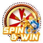 Spin Icon